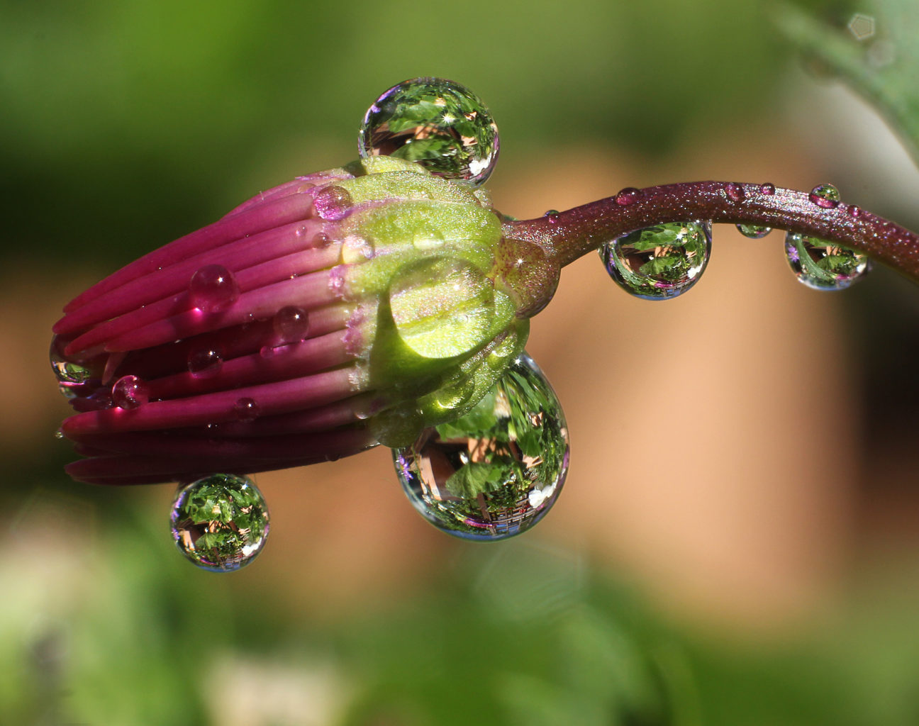 Valokuvaaja: Tarja Porkkala