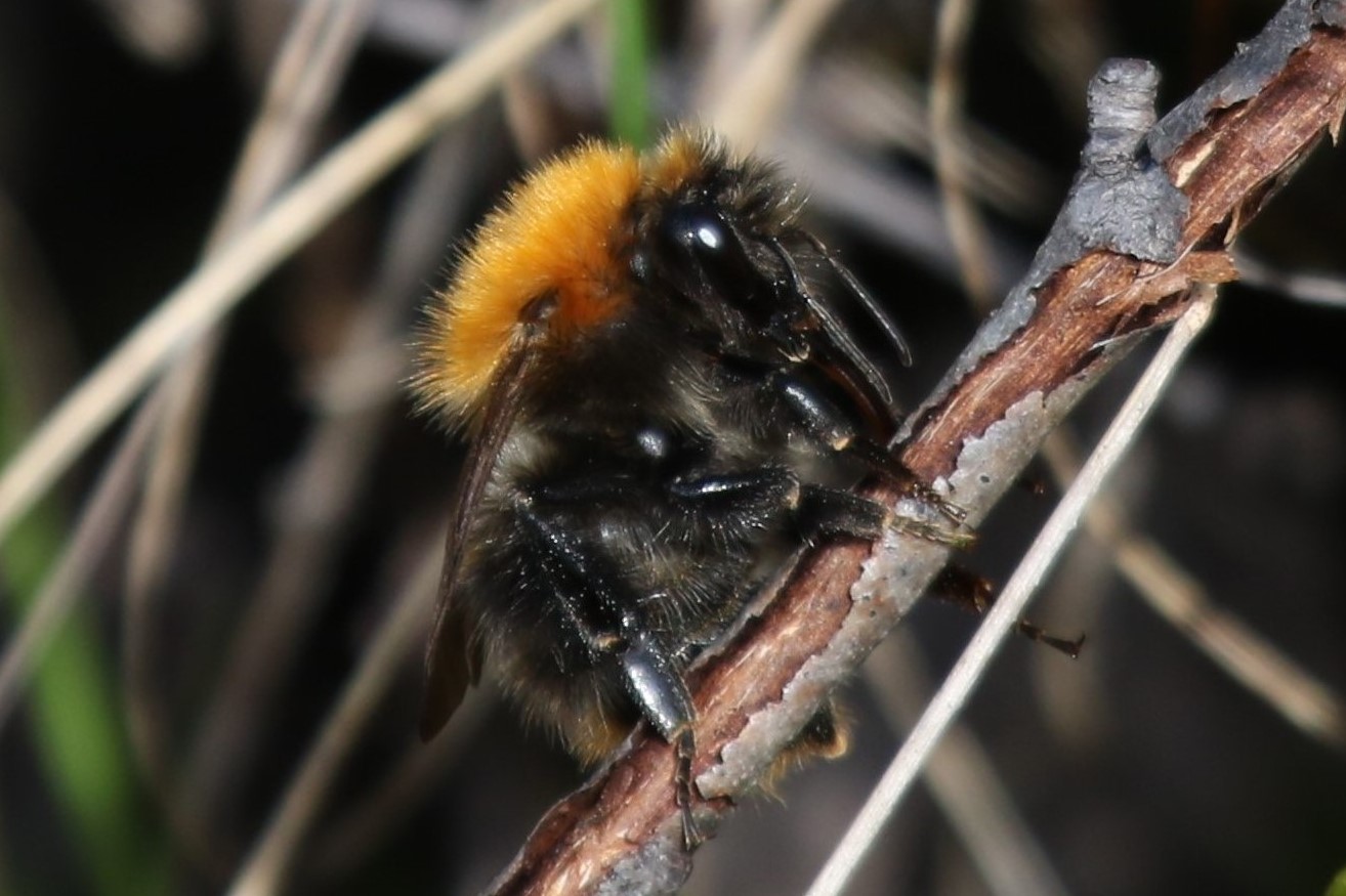 Valokuvaaja: Kauko Simonen