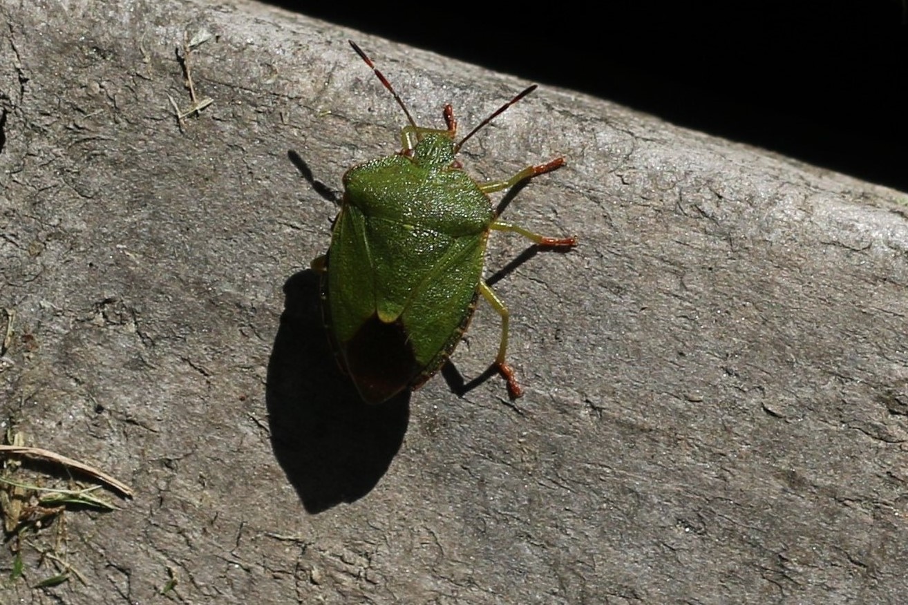 Valokuvaaja: Kauko Simonen Valokuvaaja: Kauko Simonen