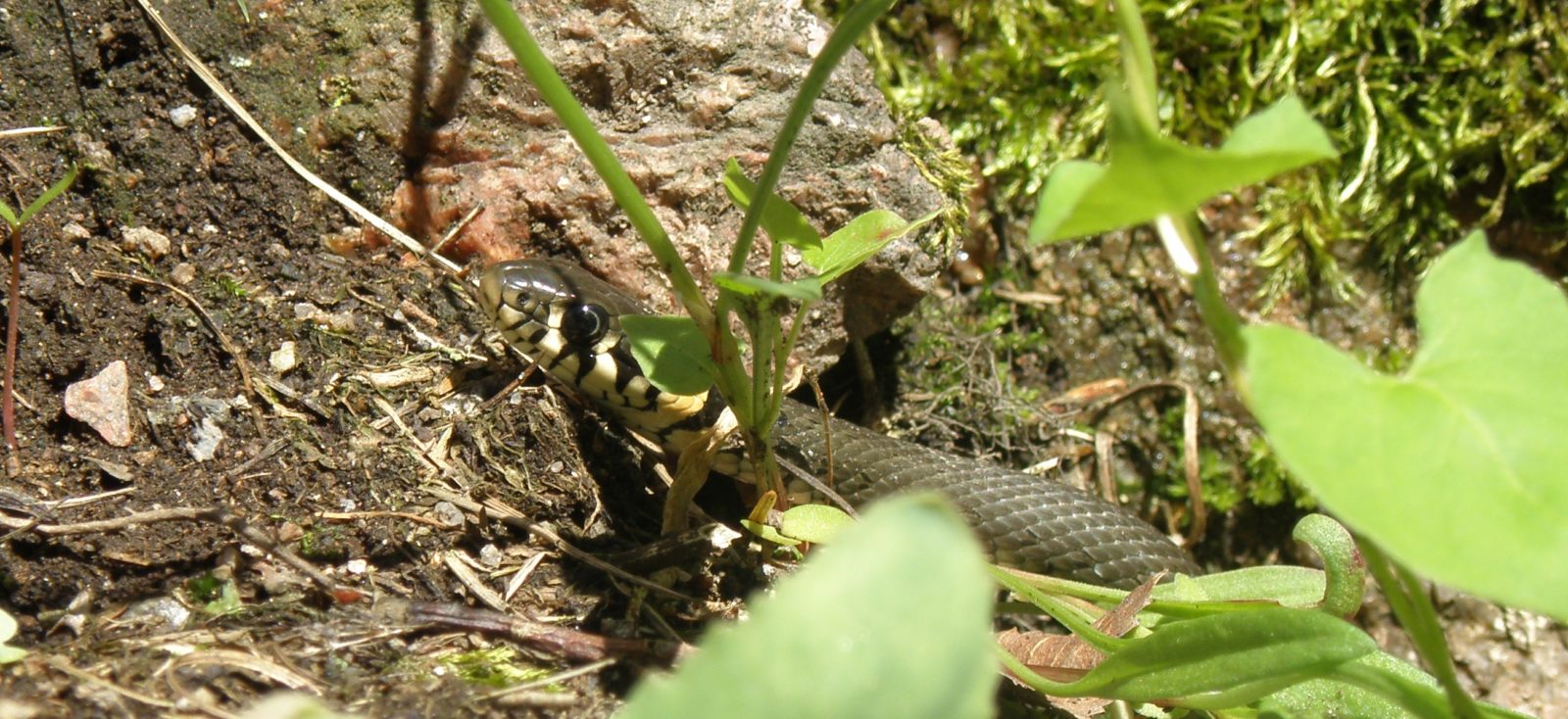 Valokuvaaja: Tyyra Juka