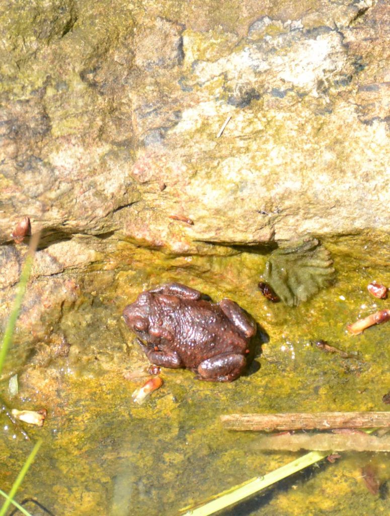 Valokuvaaja: Noora Andersson