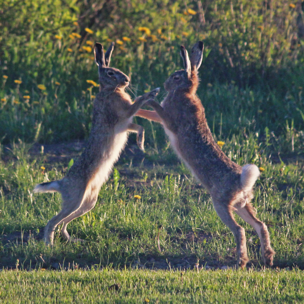 Valokuvaaja: Niku Kivekäs