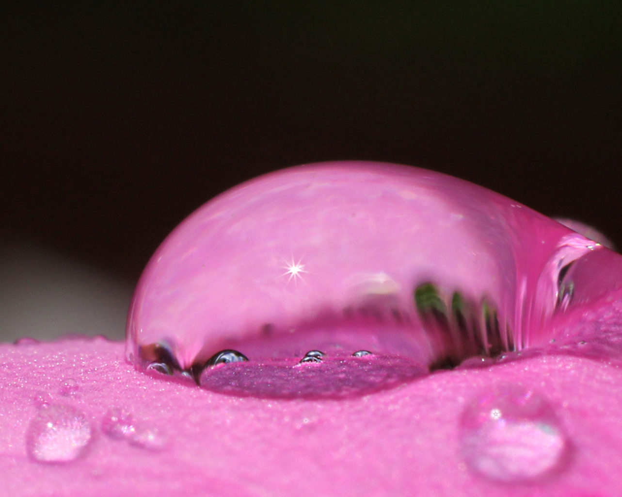 Valokuvaaja: Tarja Porkkala