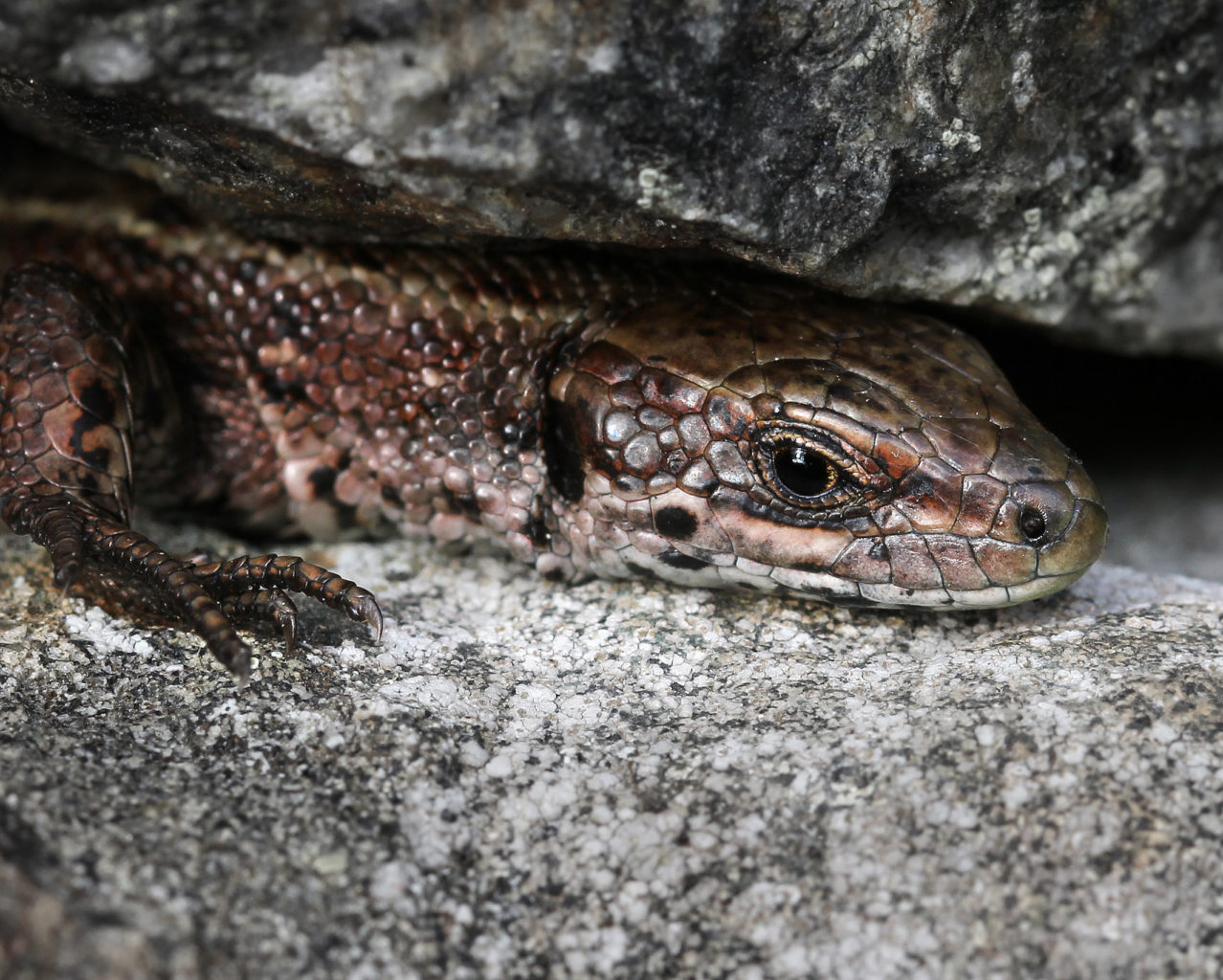 Valokuvaaja: Tarja Porkkala