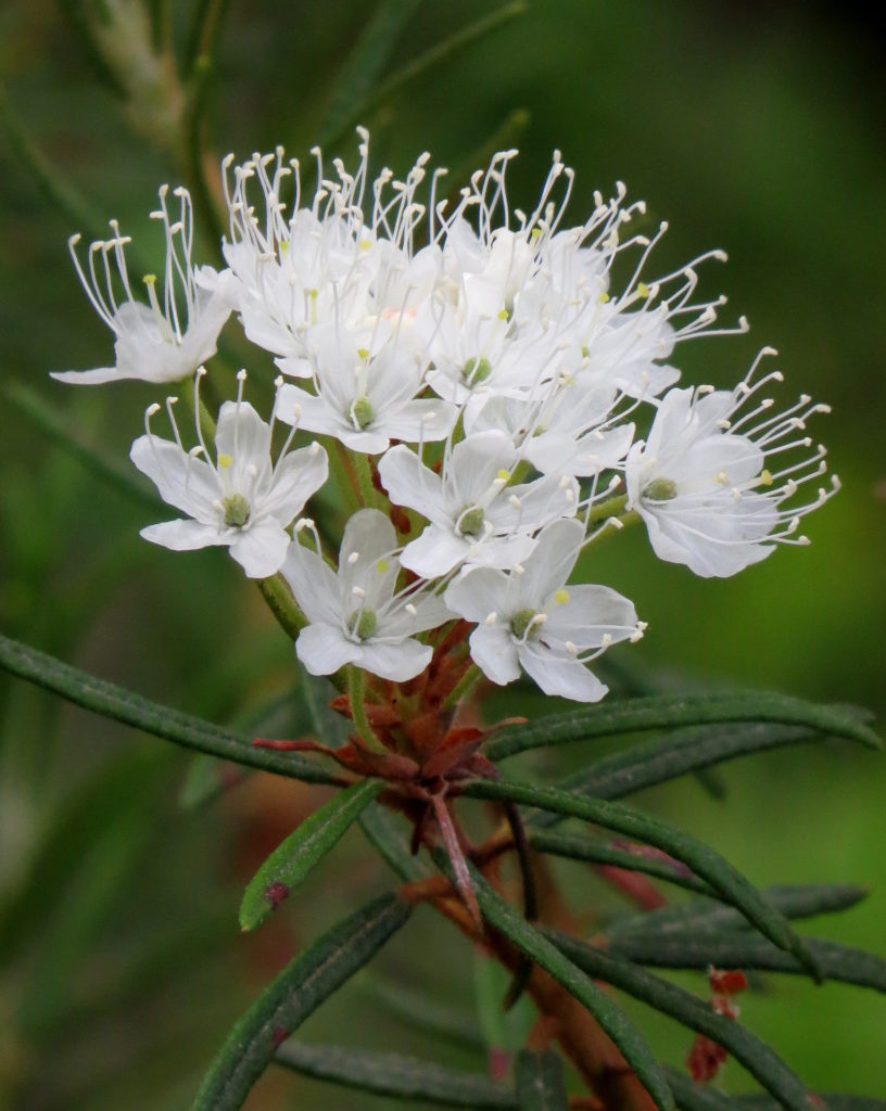 Valokuvaaja: Jaana Talvinen