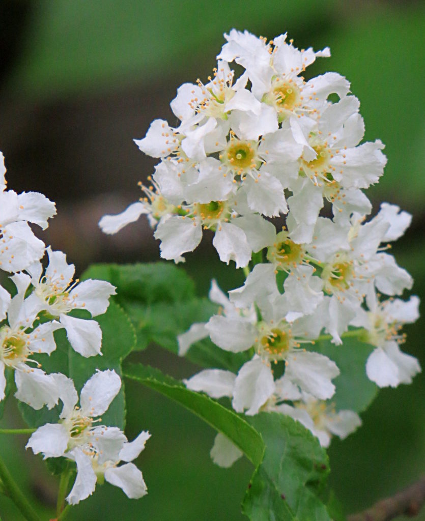 Valokuvaaja: Jaana Talvinen