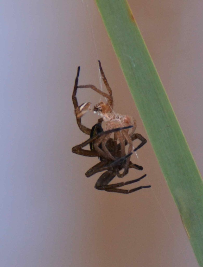 Valokuvaaja: Jesper Andersson