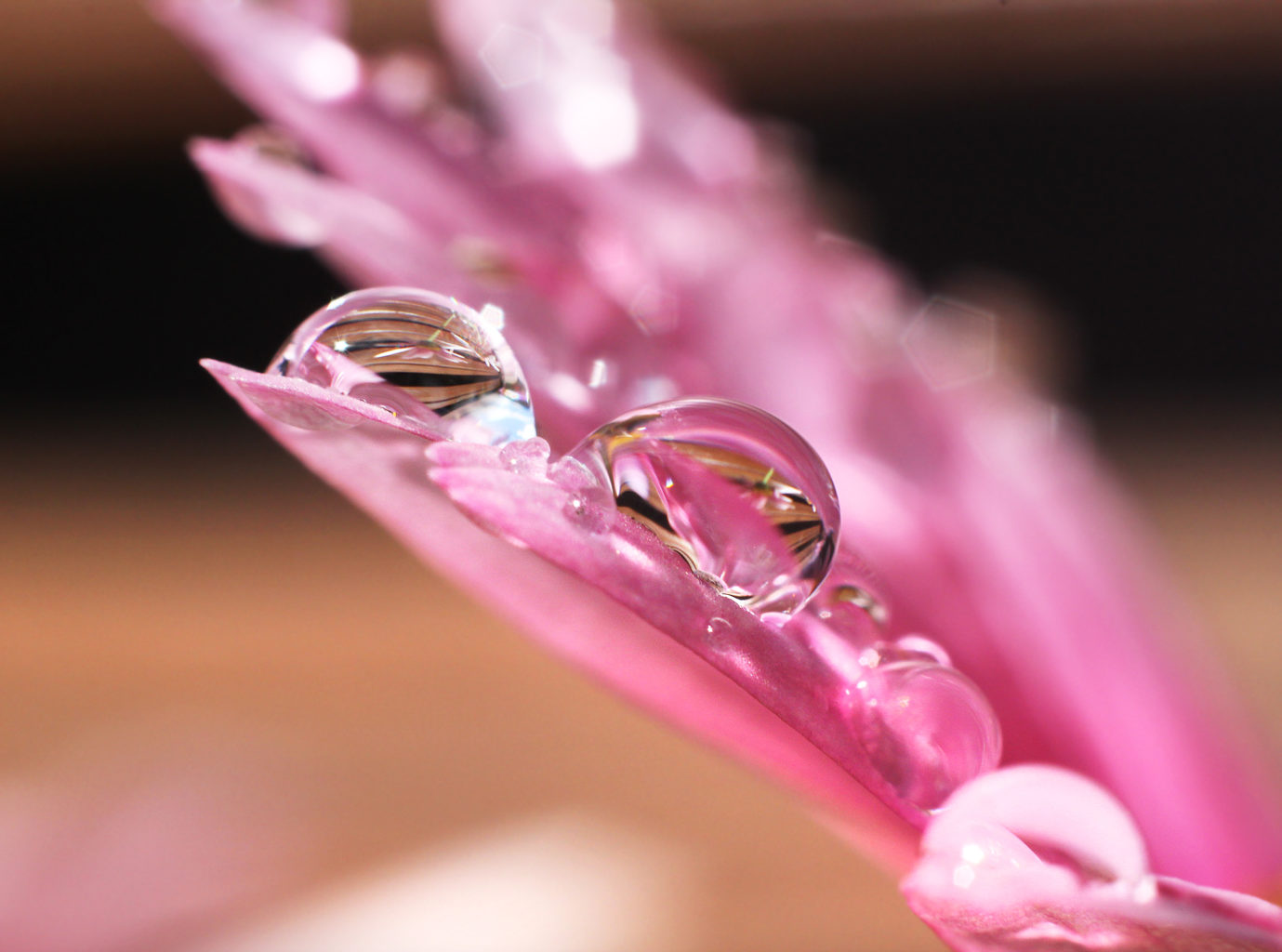 Valokuvaaja: Tarja Porkkala