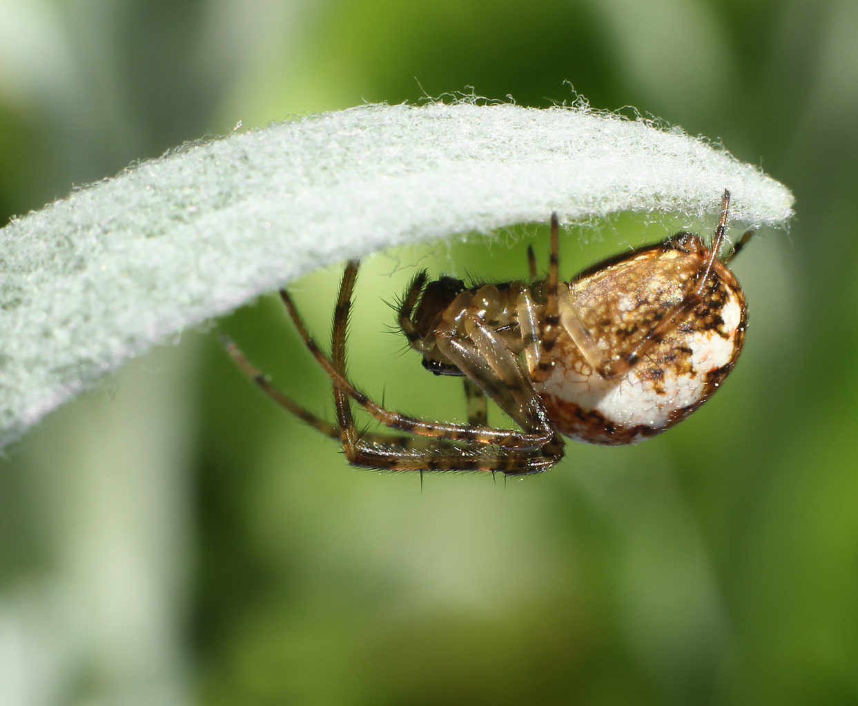 Valokuvaaja: Tarja Porkkala