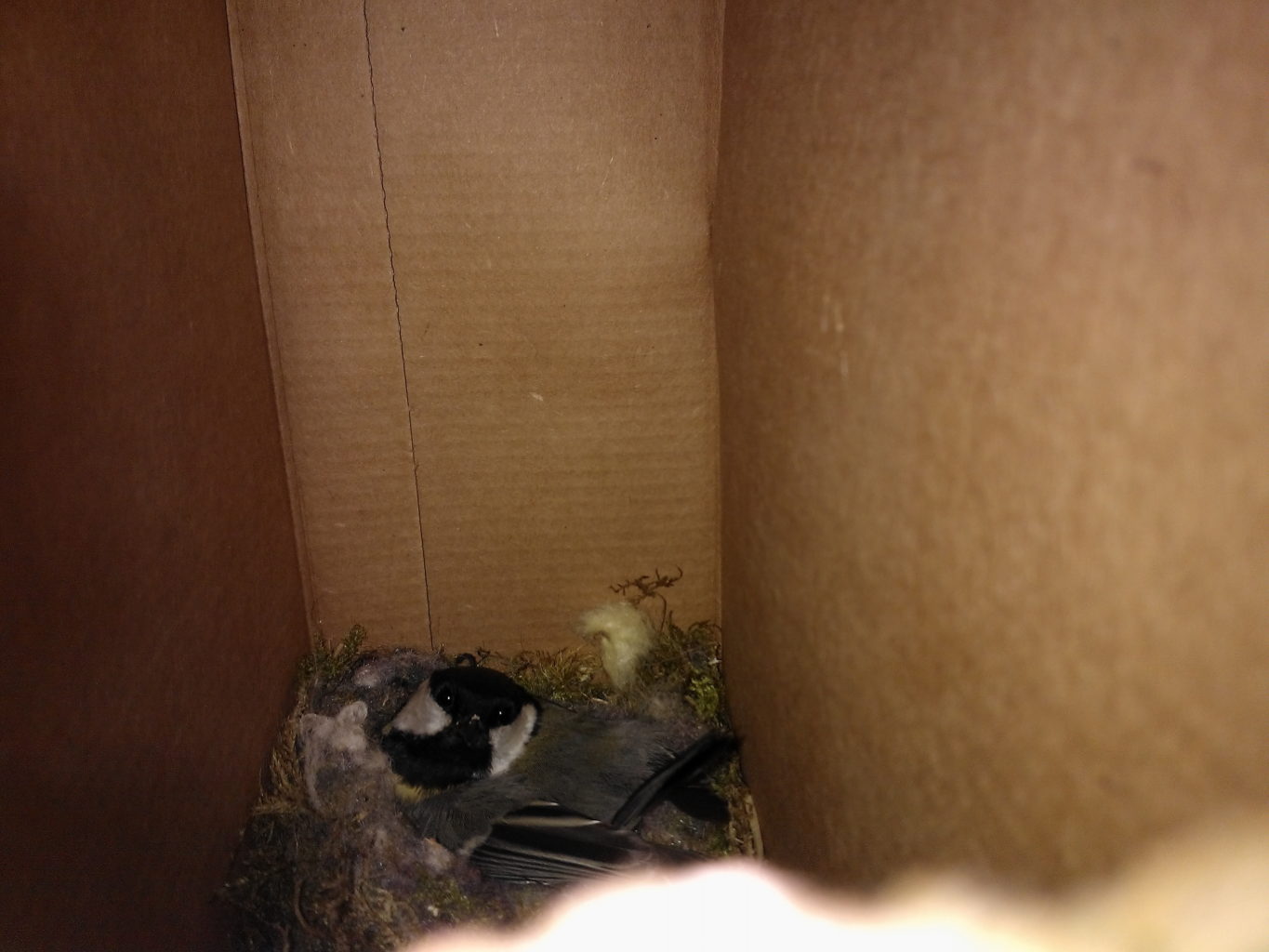 Valokuvaaja: Lasse Ylisaari