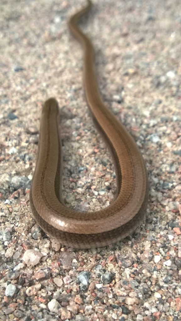 Valokuvaaja: Helen Erola