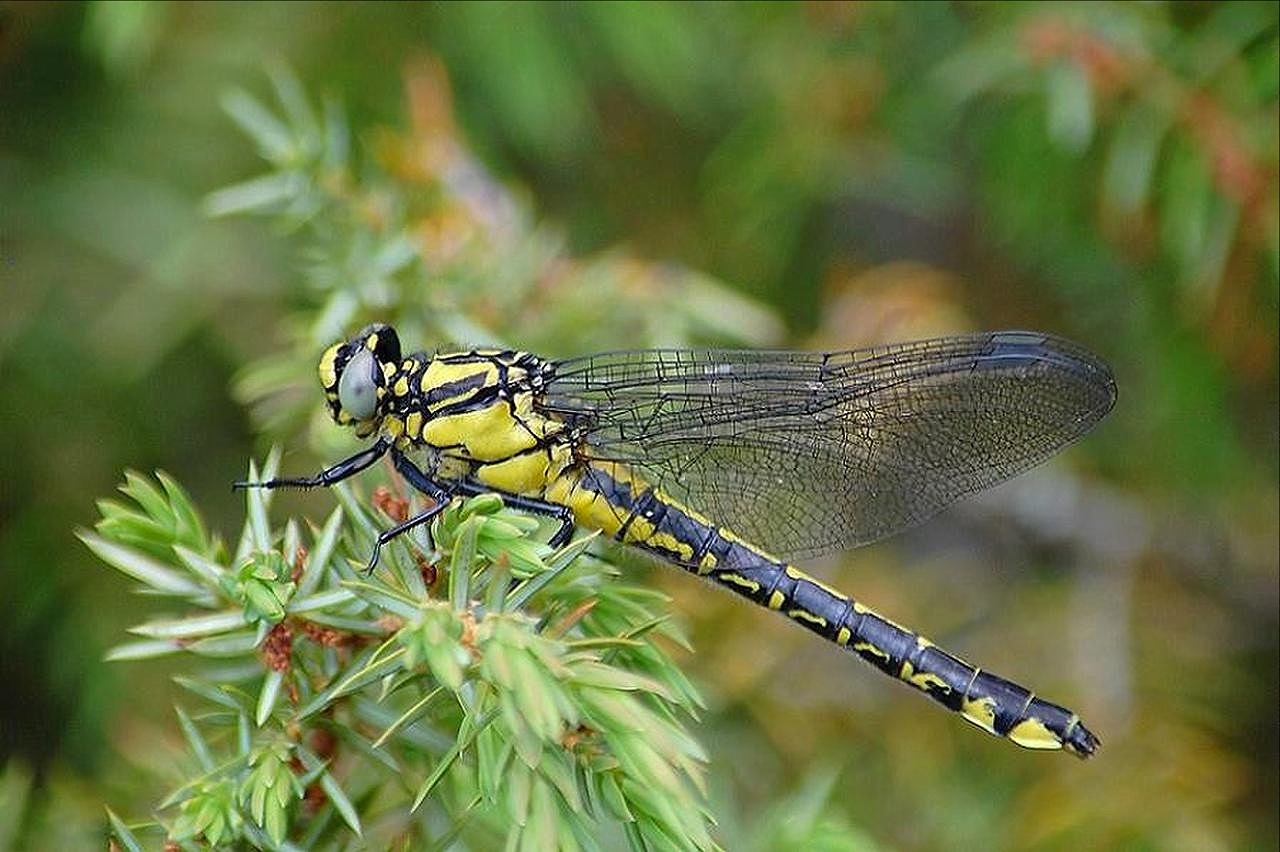 Valokuvaaja: Antti Kaskinen