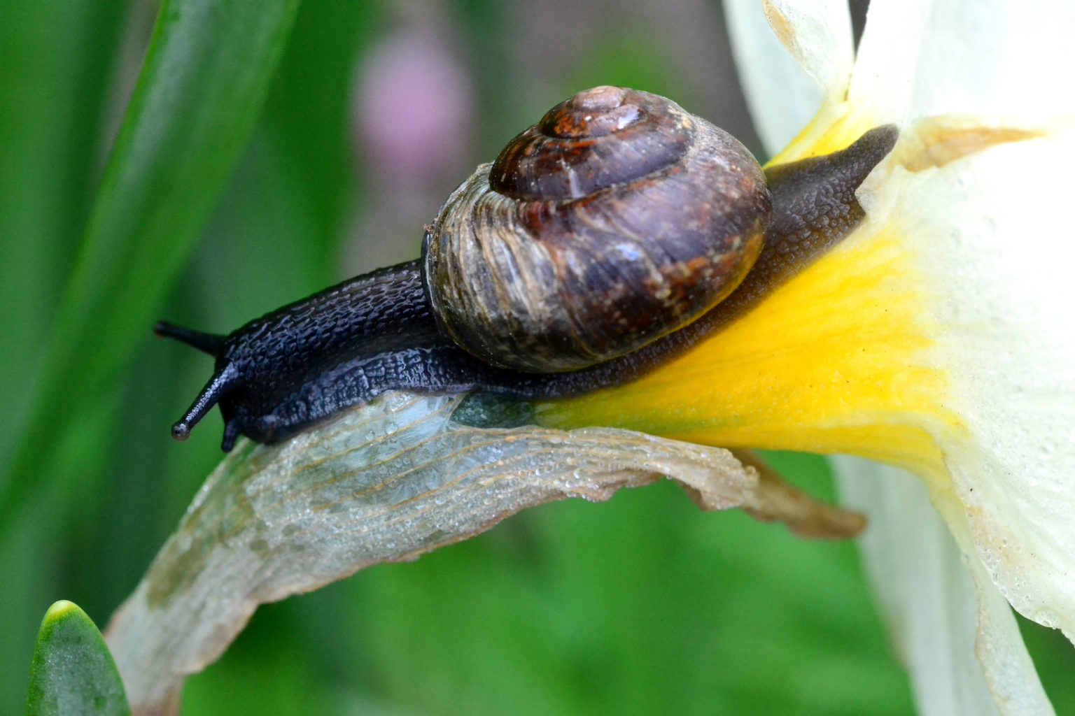 Valokuvaaja: Senja Rämä