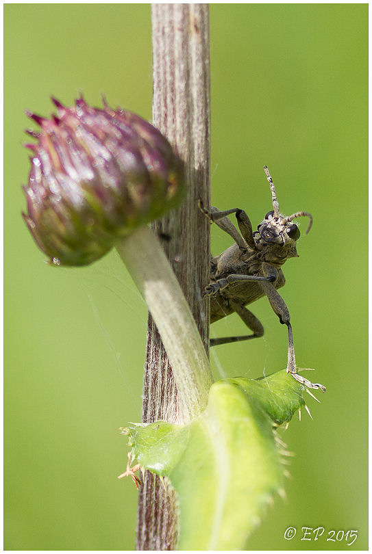 Valokuvaaja: Eija Putkuri