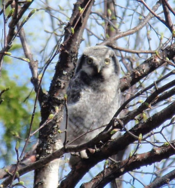 Valokuvaaja: Eeva Utriainen Valokuvaaja: Eeva Utriainen