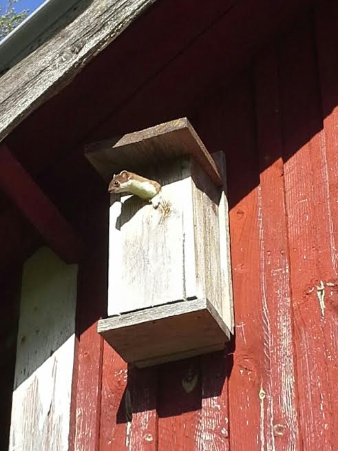 Valokuvaaja: Teija Pennanen