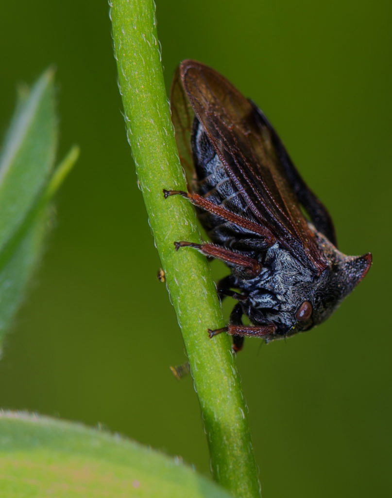 Valokuvaaja: Heikki Mahlamäki Valokuvaaja: Heikki Mahlamäki