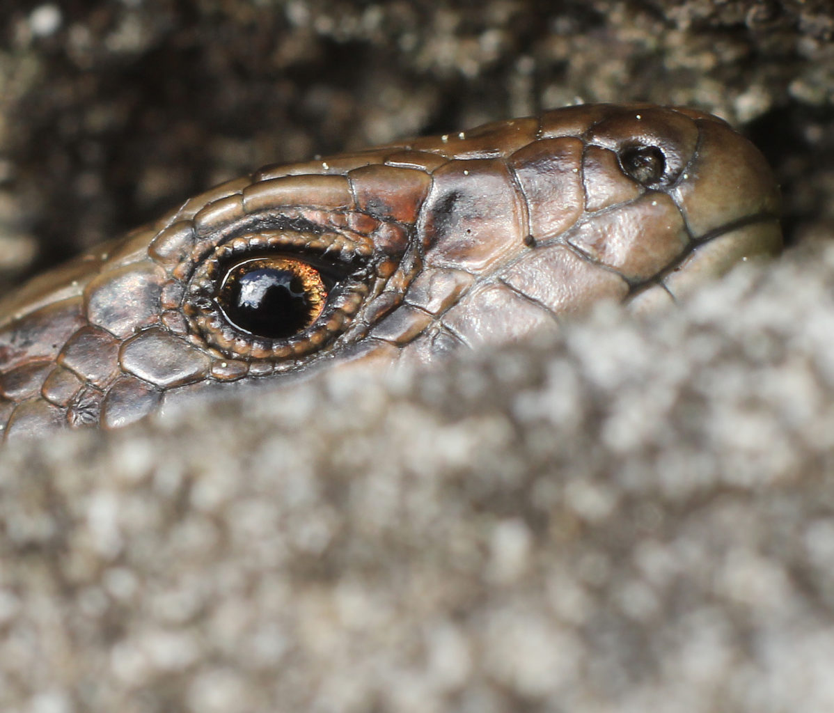 Valokuvaaja: Tarja Porkkala