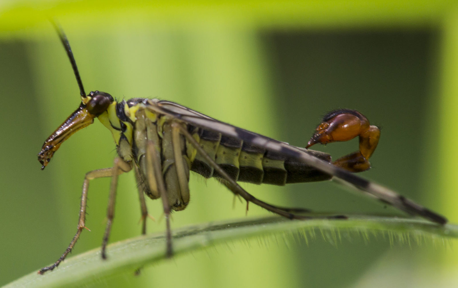Valokuvaaja: Heikki Mahlamäki