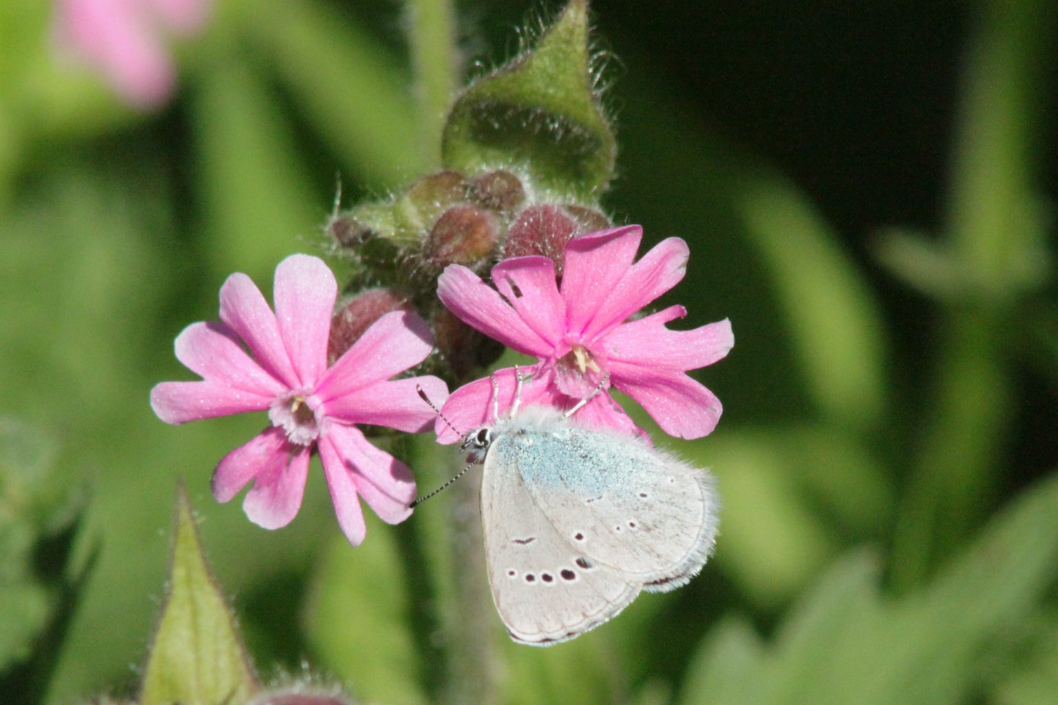 Valokuvaaja: Päivi Salonen