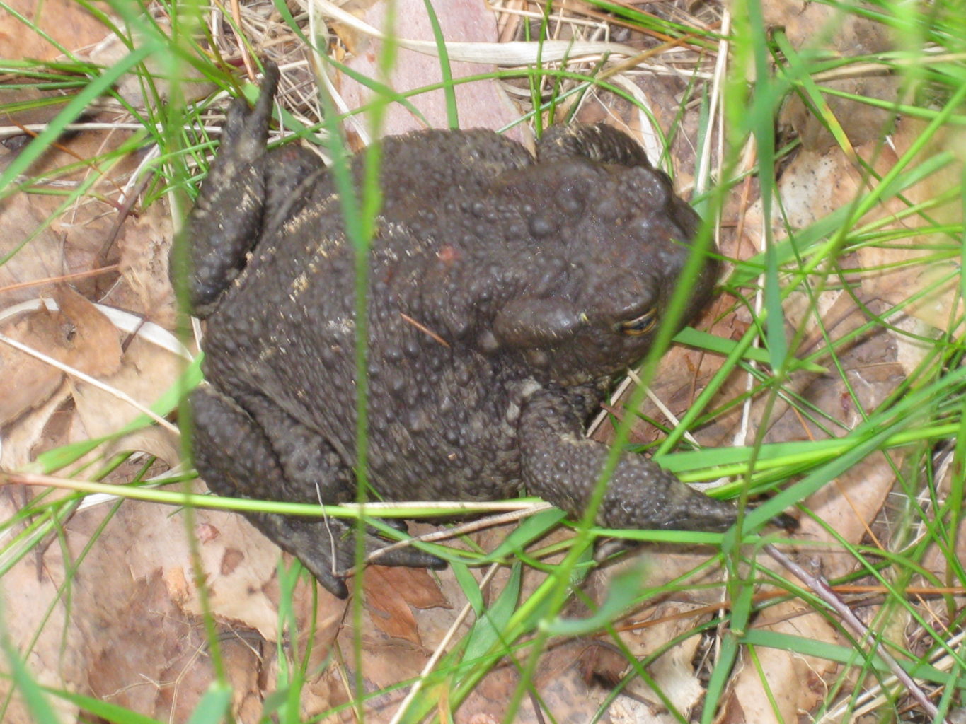 Valokuvaaja: yrjo lukkari