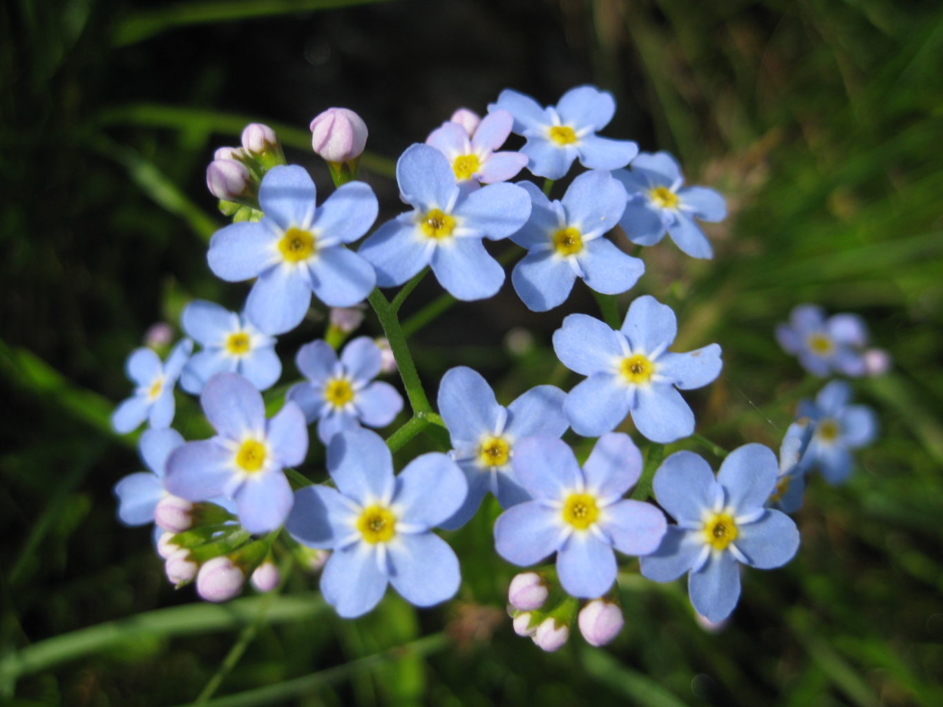 Valokuvaaja: yrjo lukkari