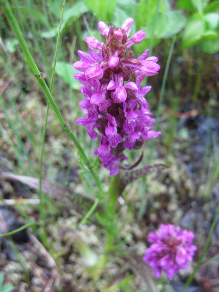 Valokuvaaja: yrjo lukkari