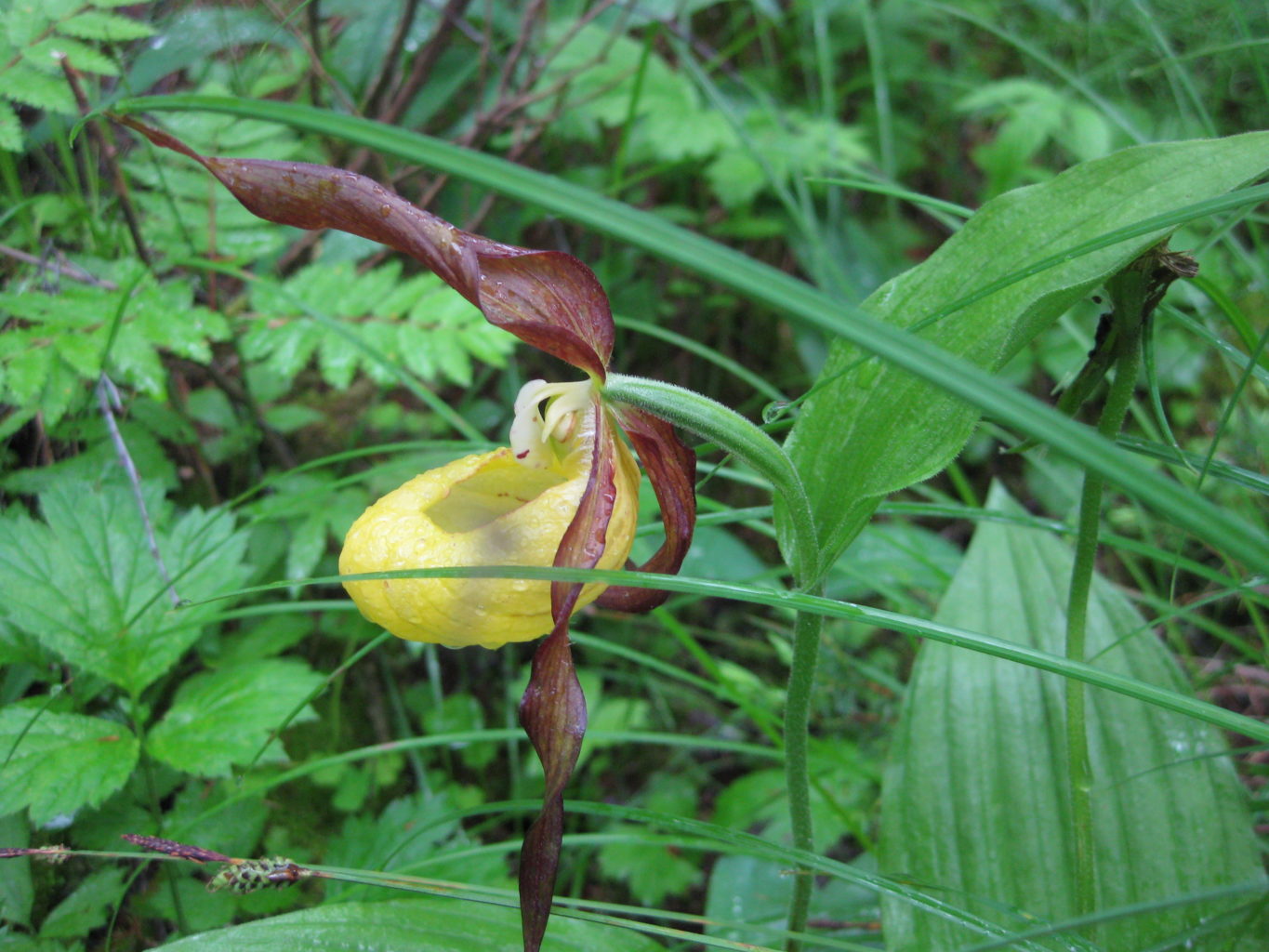 Valokuvaaja: yrjo lukkari