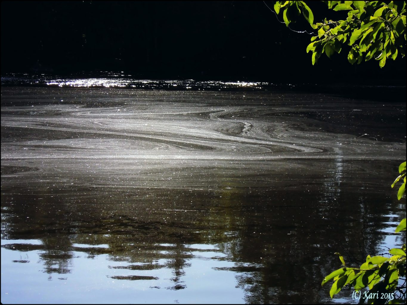 Valokuvaaja: Kari Saarinen