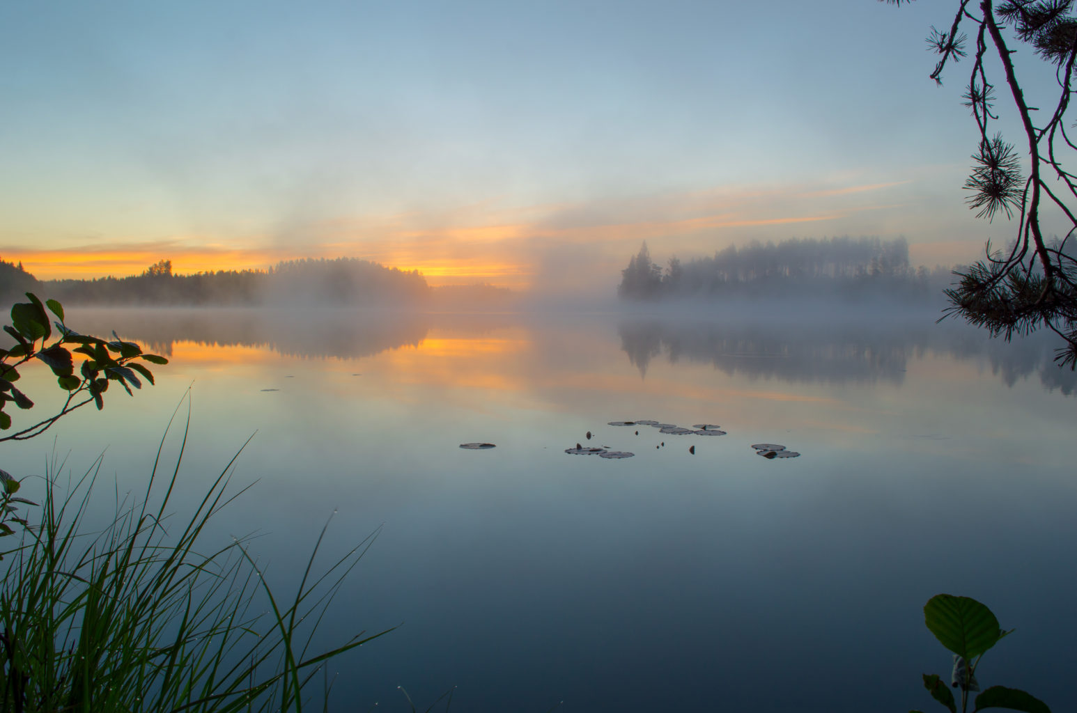 Valokuvaaja: Terho Männistö