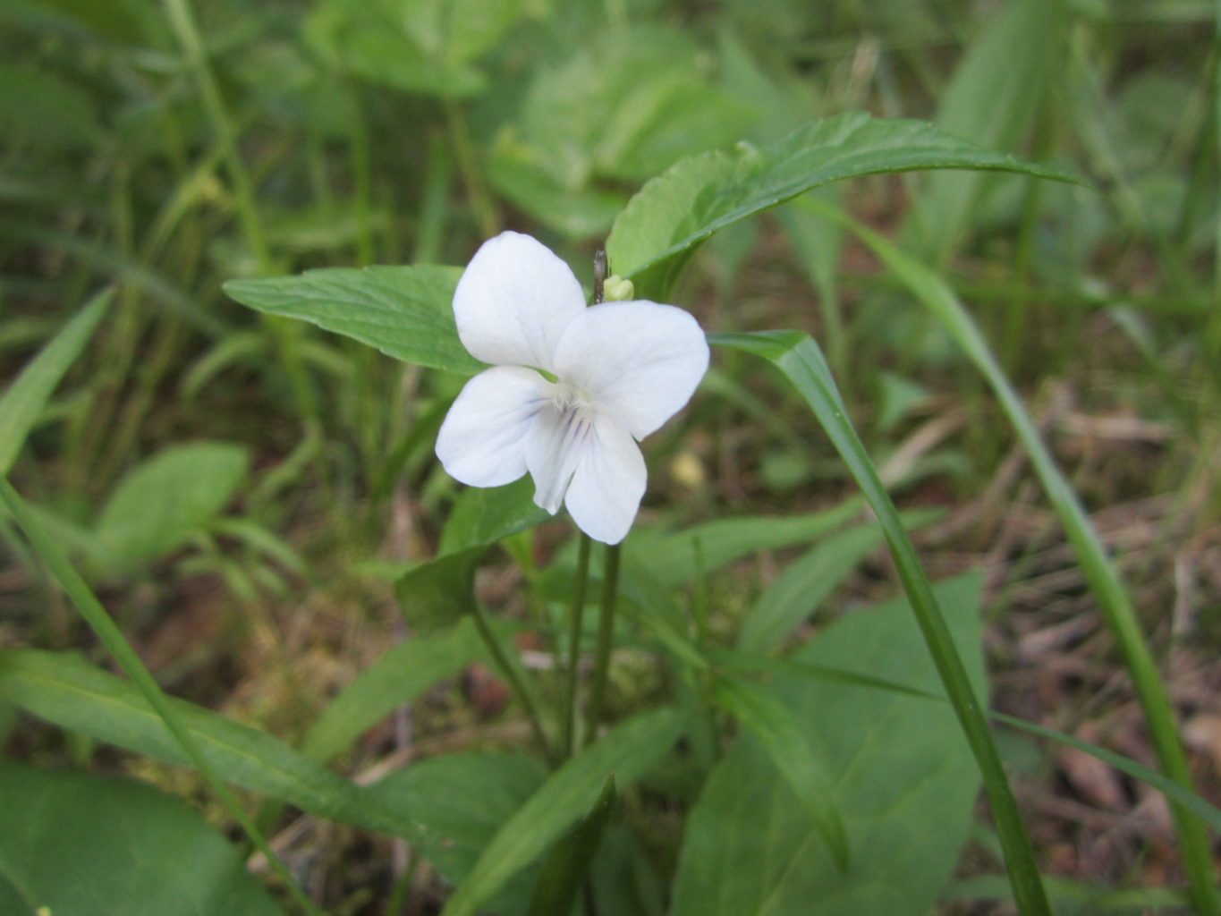 Valokuvaaja: Johanna Salonen