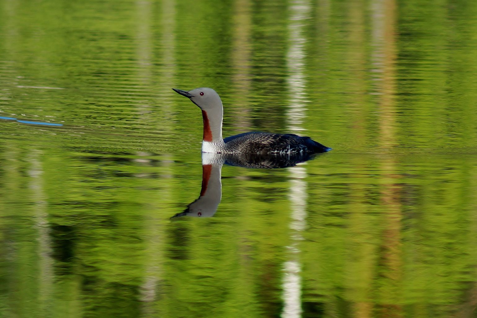 Valokuvaaja: Maarit Siitonen Valokuvaaja: Maarit Siitonen