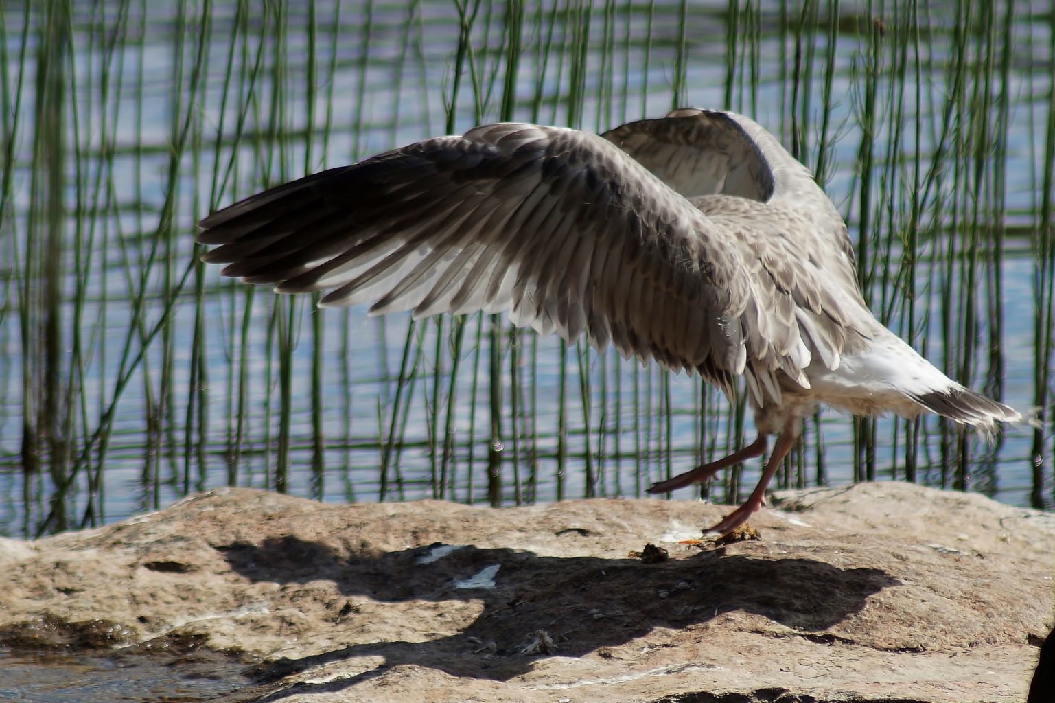 Valokuvaaja: Maarit Siitonen