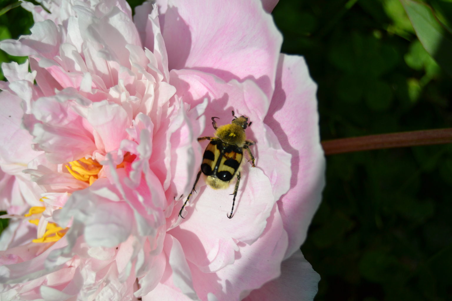 Valokuvaaja: LEENA LATVALA