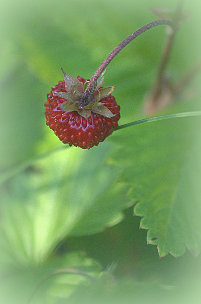 Valokuvaaja: Eija Varjola
