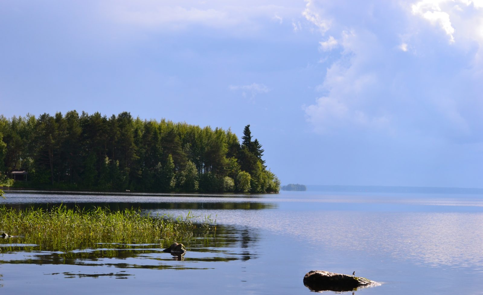 Valokuvaaja: Leena Latvala