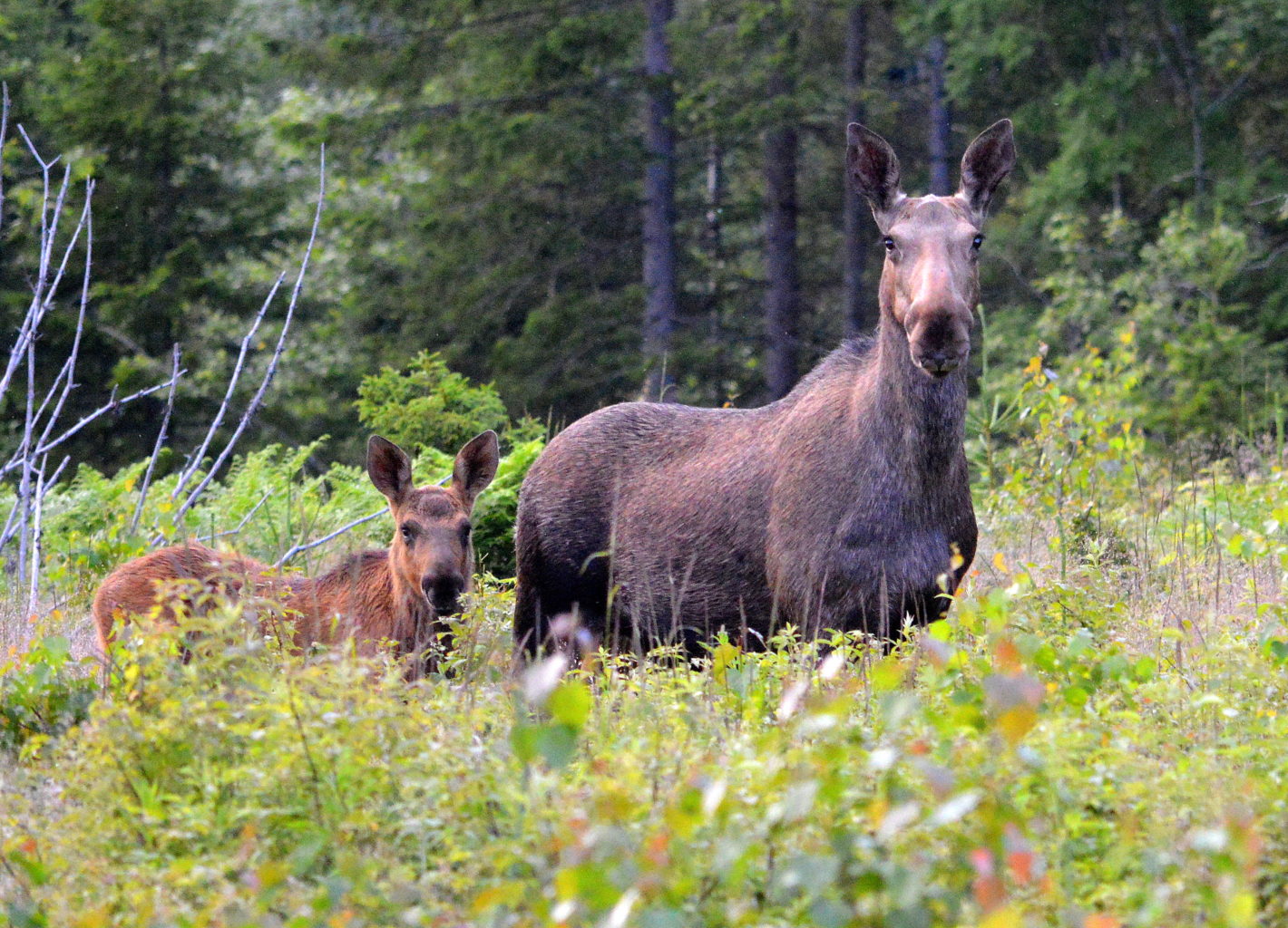 Valokuvaaja: Leena Silvola