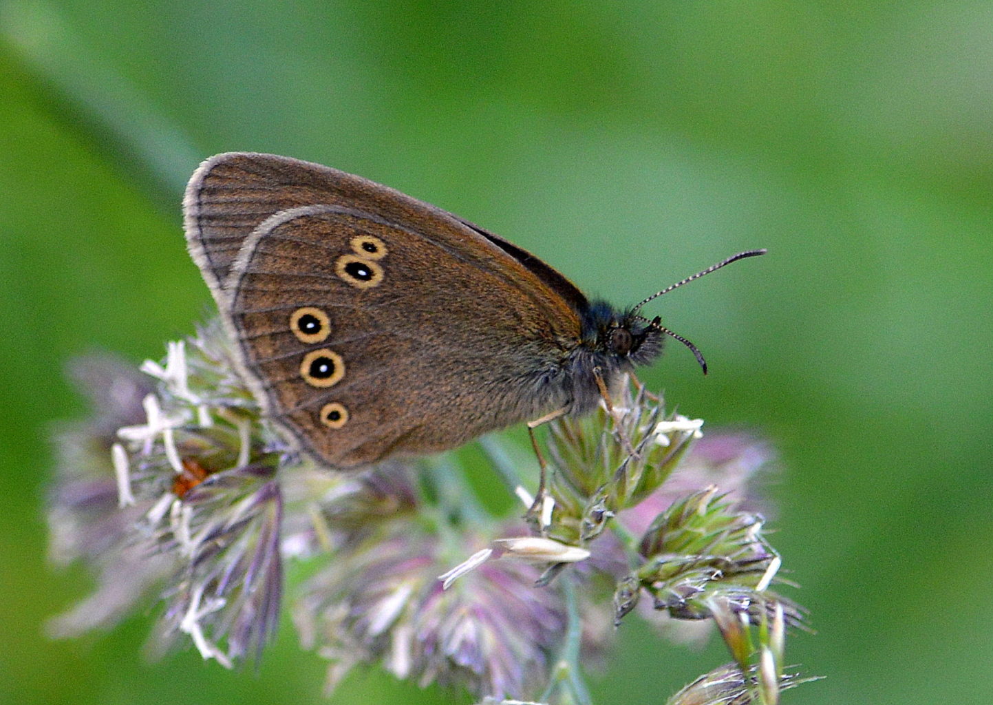 Valokuvaaja: Leena Silvola