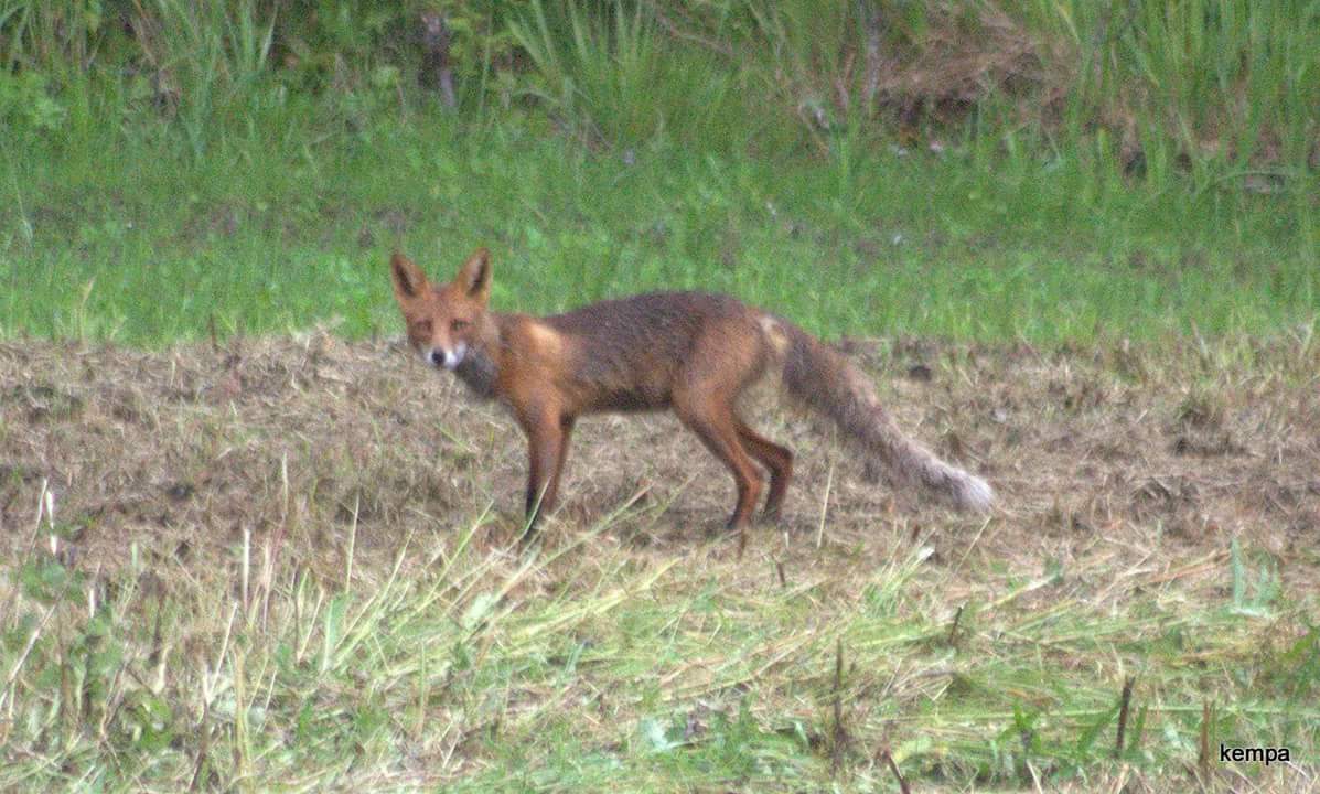 Valokuvaaja: tapio keinonen