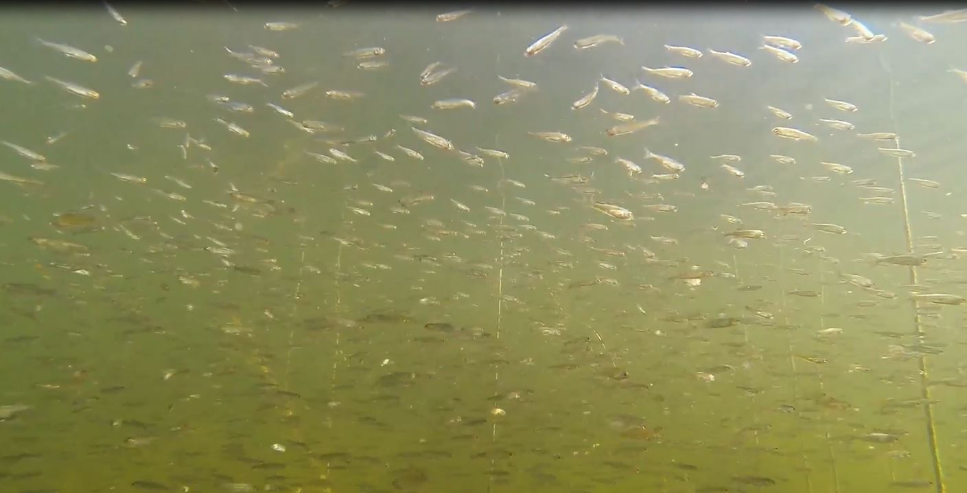 Valokuvaaja: Jasmin Khalef