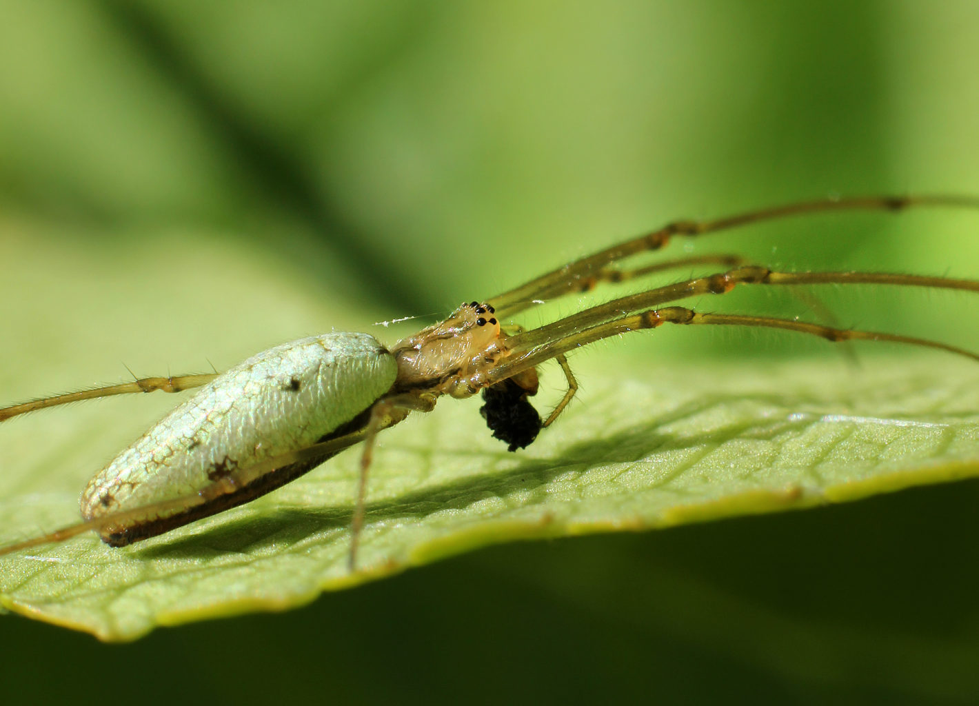 Valokuvaaja: Tarja Porkkala