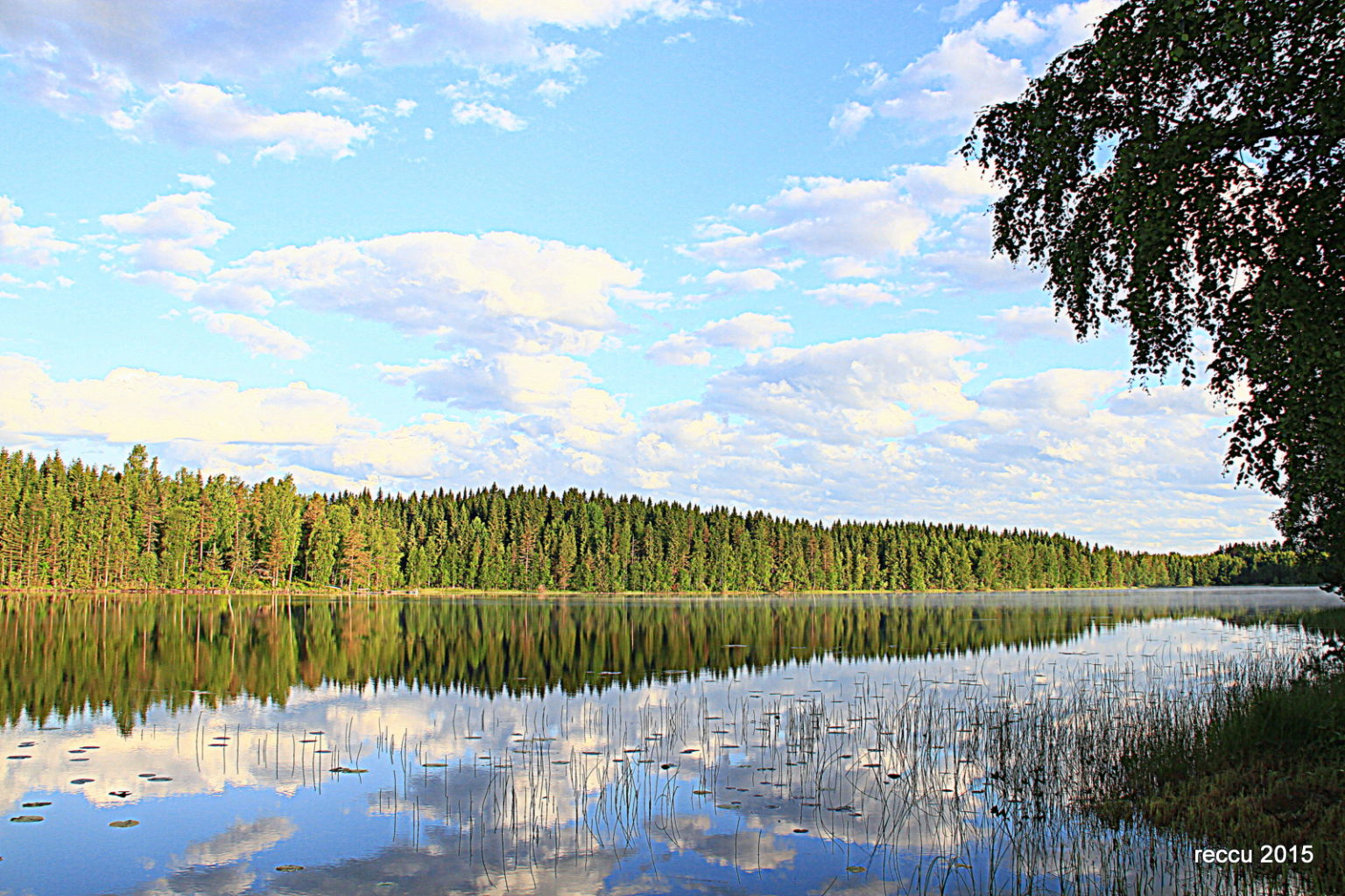Valokuvaaja: reijo lehtonen Valokuvaaja: reijo lehtonen