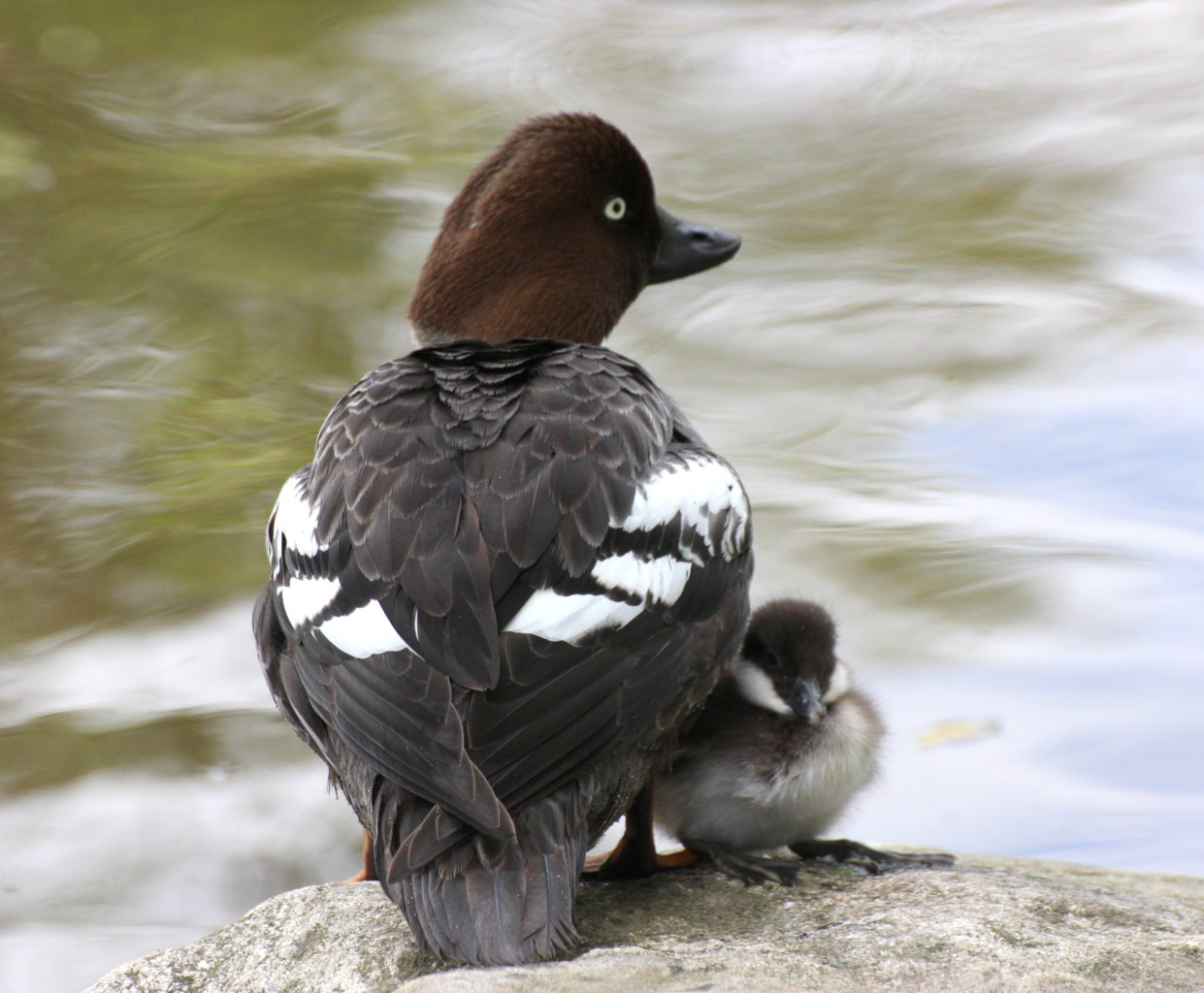 Valokuvaaja: Irja Lehtinen