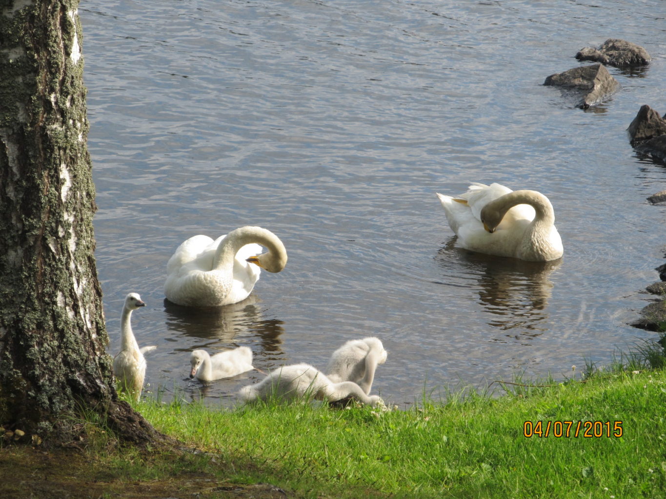 Valokuvaaja: Tuula Makkonen