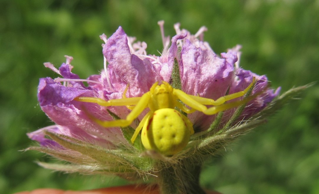 Valokuvaaja: Tuula Makkoen