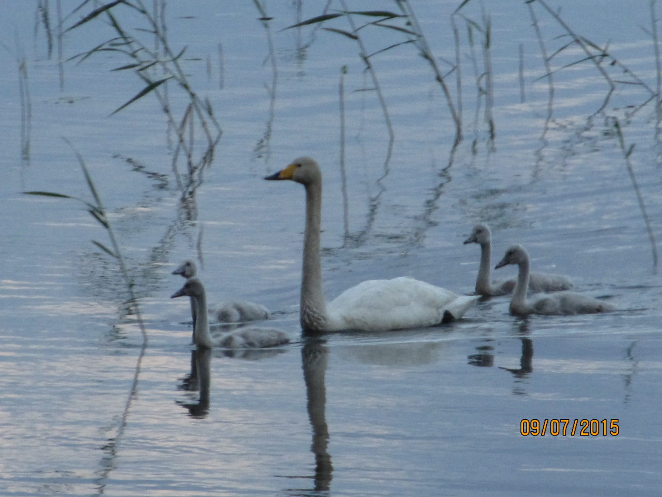 Valokuvaaja: Tuula Makkonen