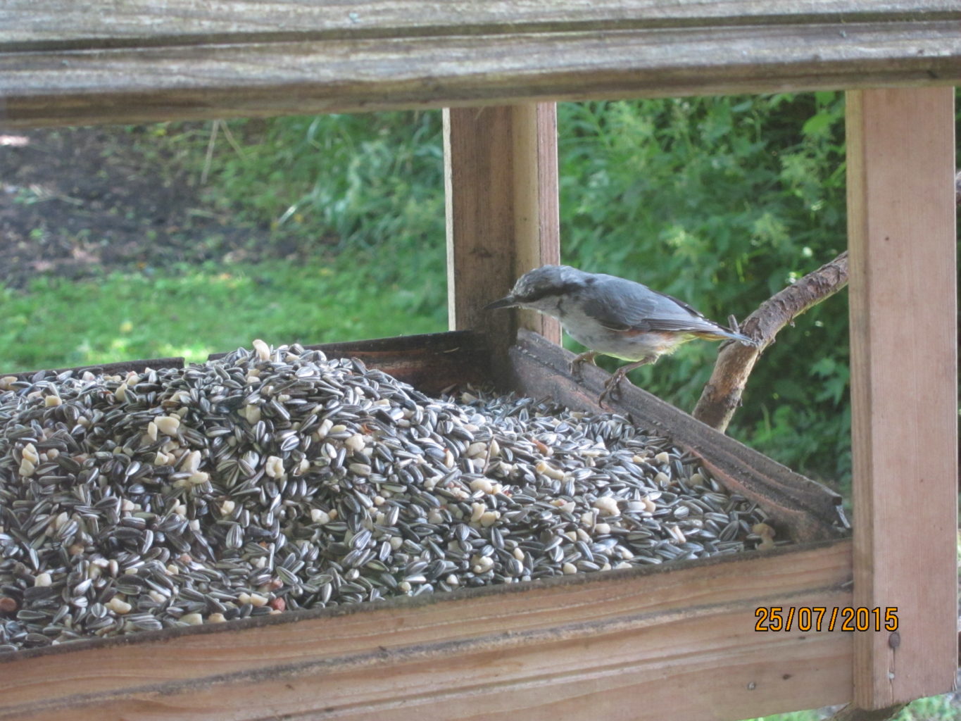 Valokuvaaja: Marja Eskuri