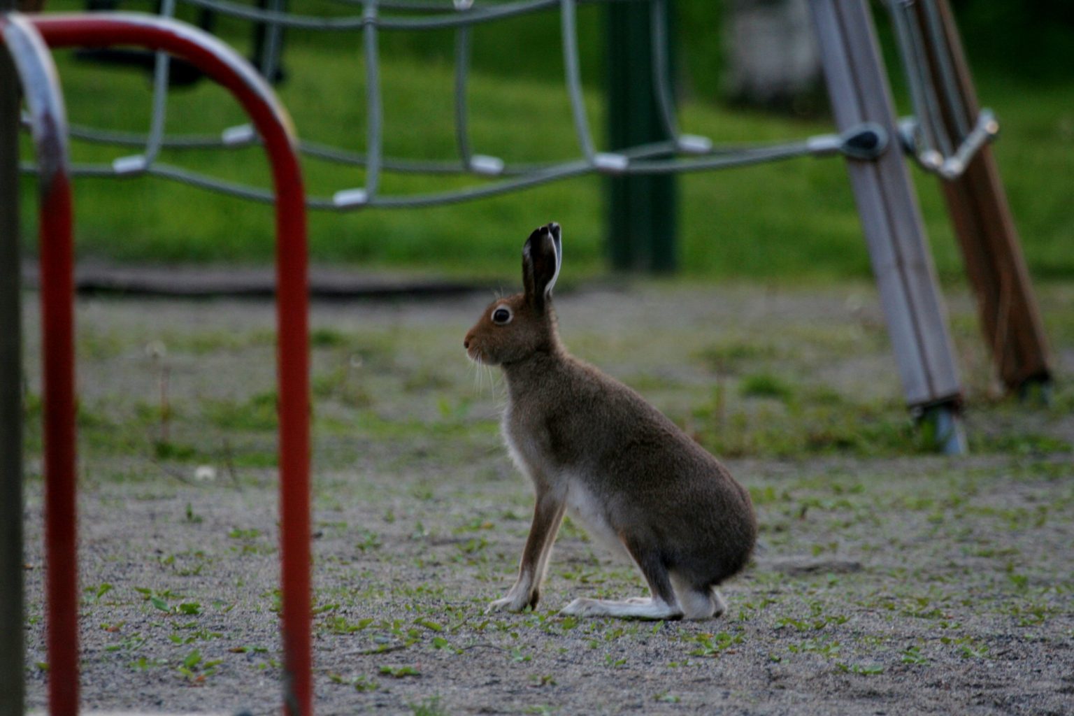 Valokuvaaja: Pirkko Siukonen Valokuvaaja: Pirkko Siukonen