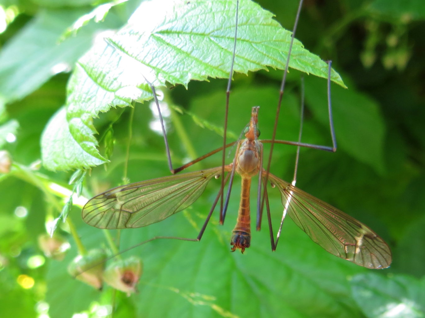 Valokuvaaja: Sirkka Ruotoistenmäki