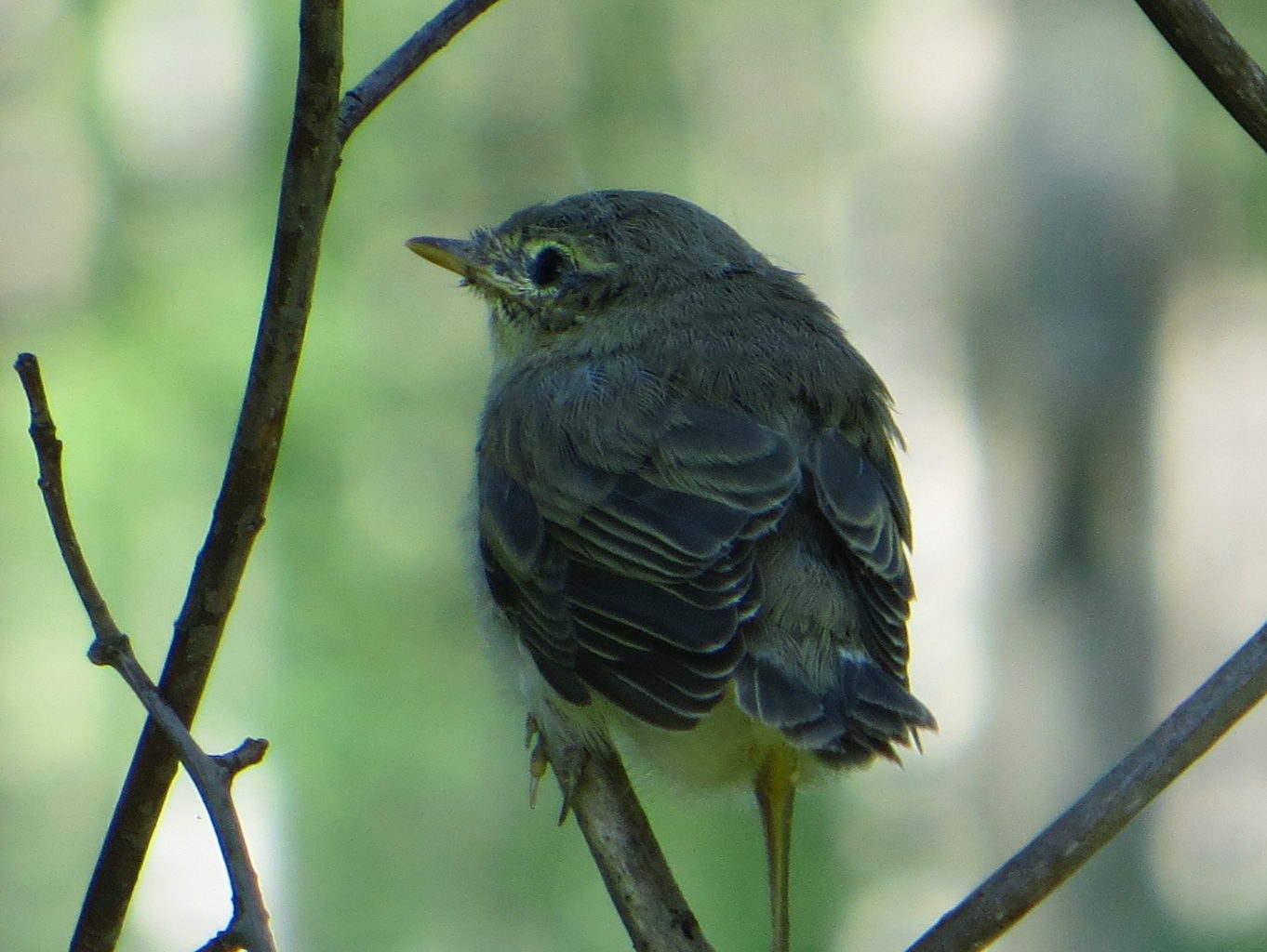 Valokuvaaja: Sirkka Ruotoistenmäki